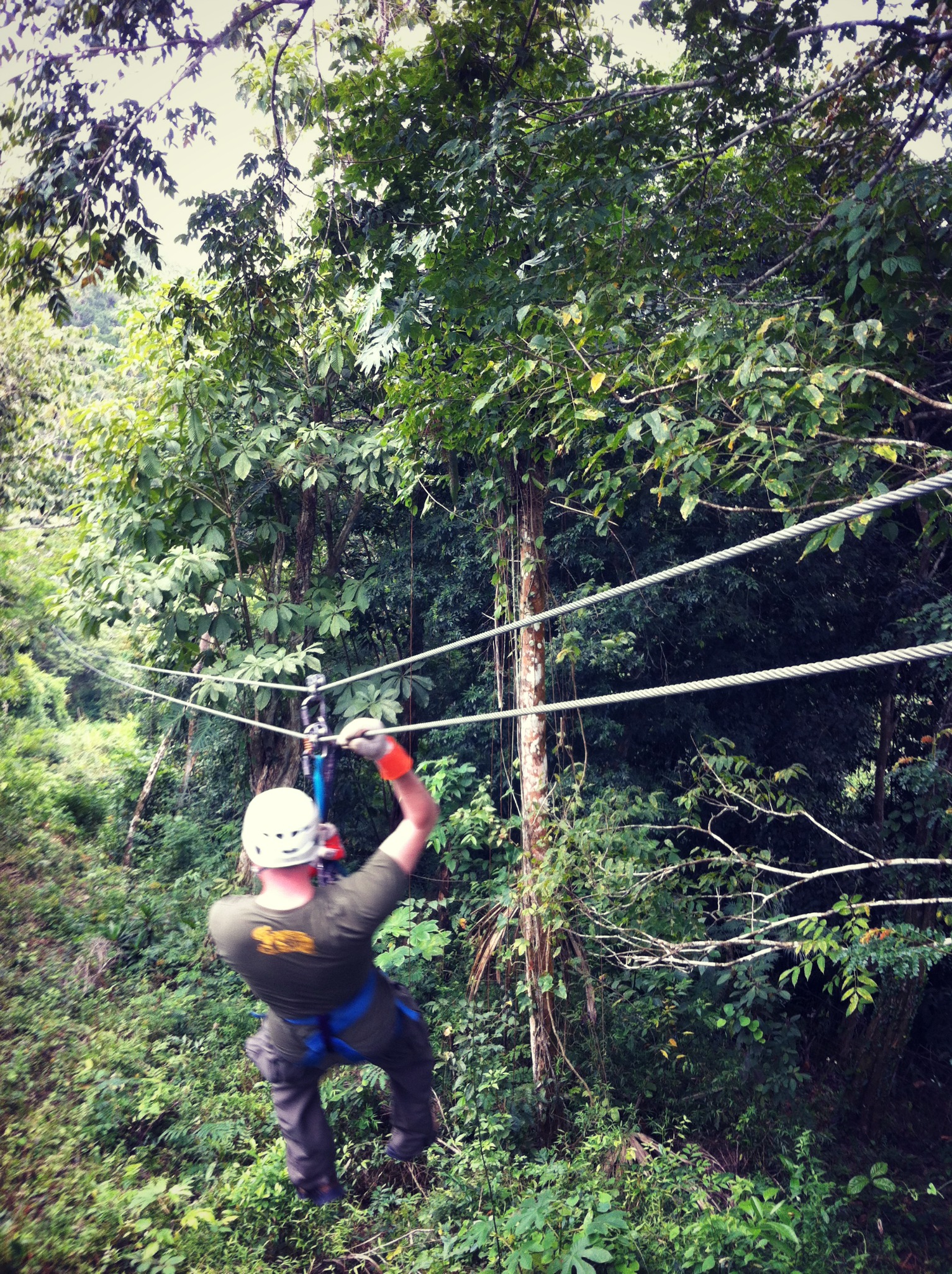 Ziplining in Belize