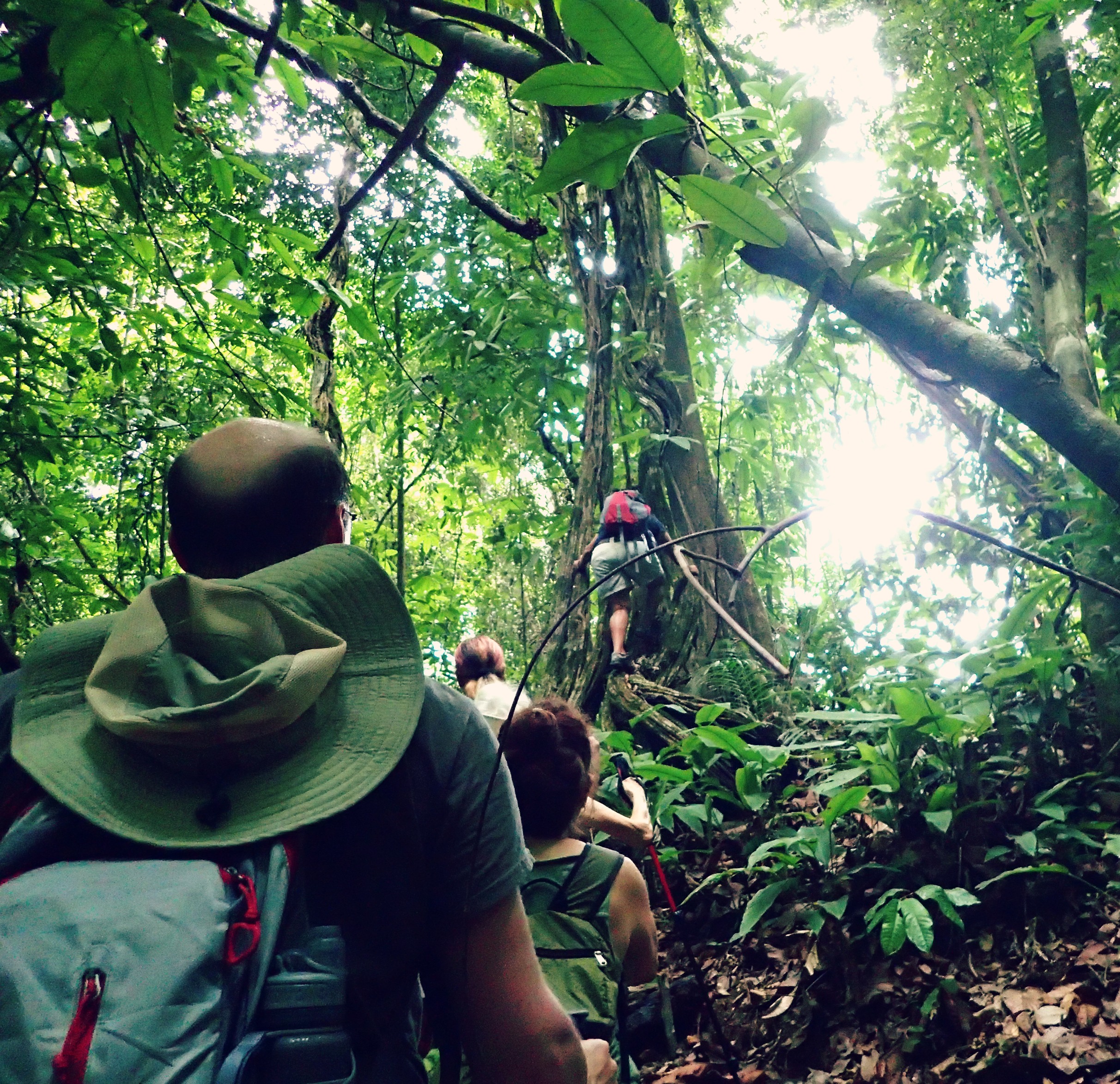 Hiking- San Josecito-Osa Peninsula-Costa Rica