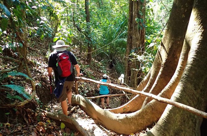 Exploring Curu Wildlife Refuge-Costa Rica
