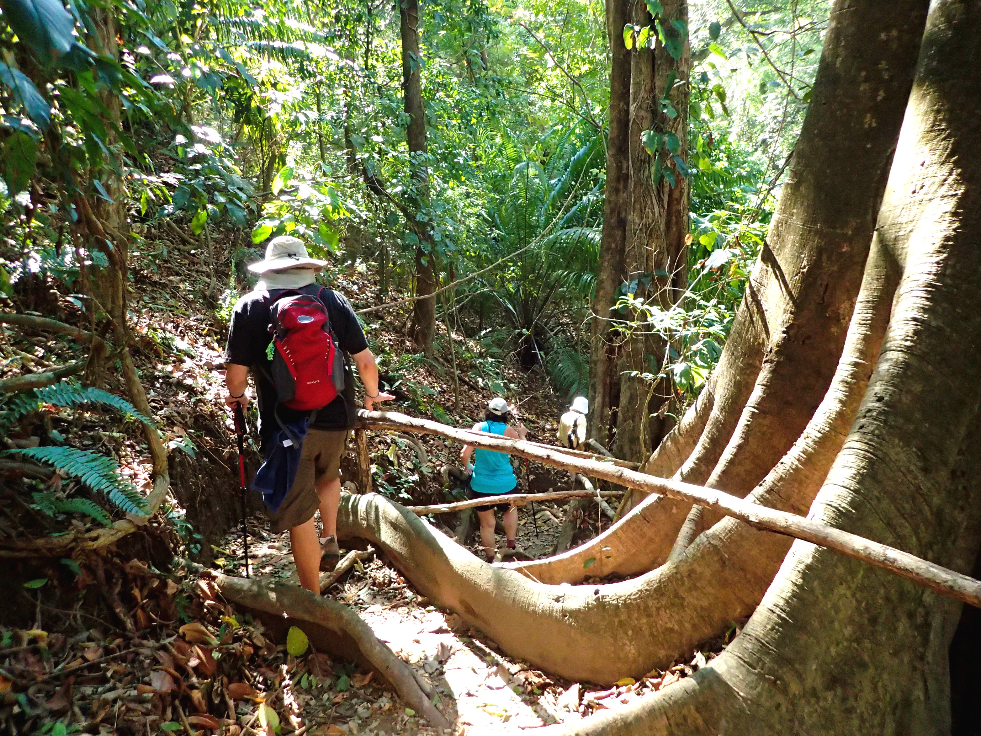 Exploring Curu Wildlife Refuge-Costa Rica