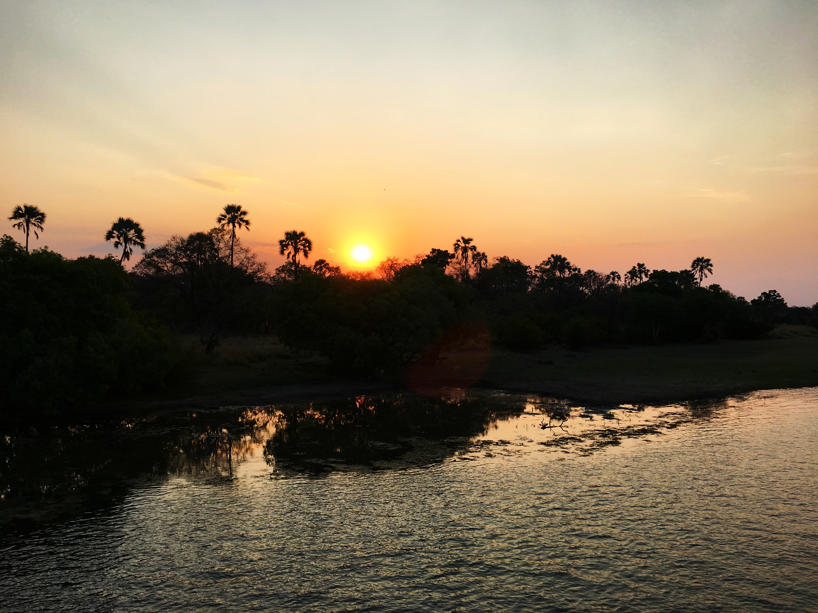 Zambezi River Sunset and Dinner Cruise-Zimbabwe