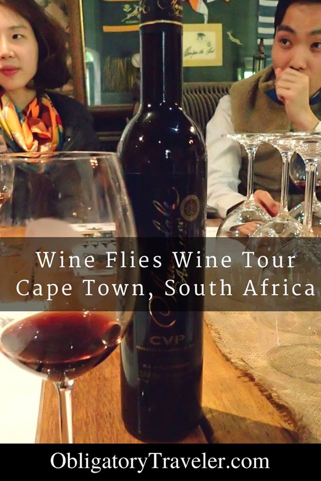 wine flies wine tours cape town
