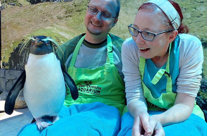 The Penguin Experience at Two Oceans Aquarium-Cape Town