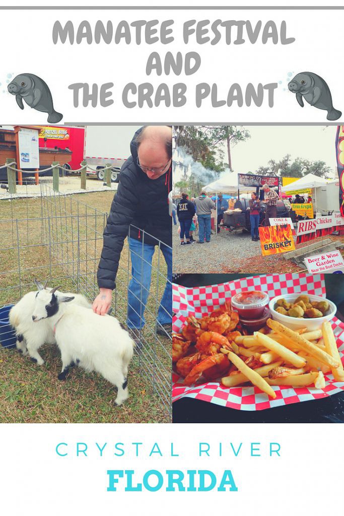 Manatee Festival and Crab Plant -Crystal River, Florida-Obligatory Traveler