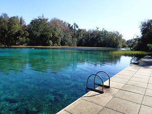 rainbow springs florida swimming