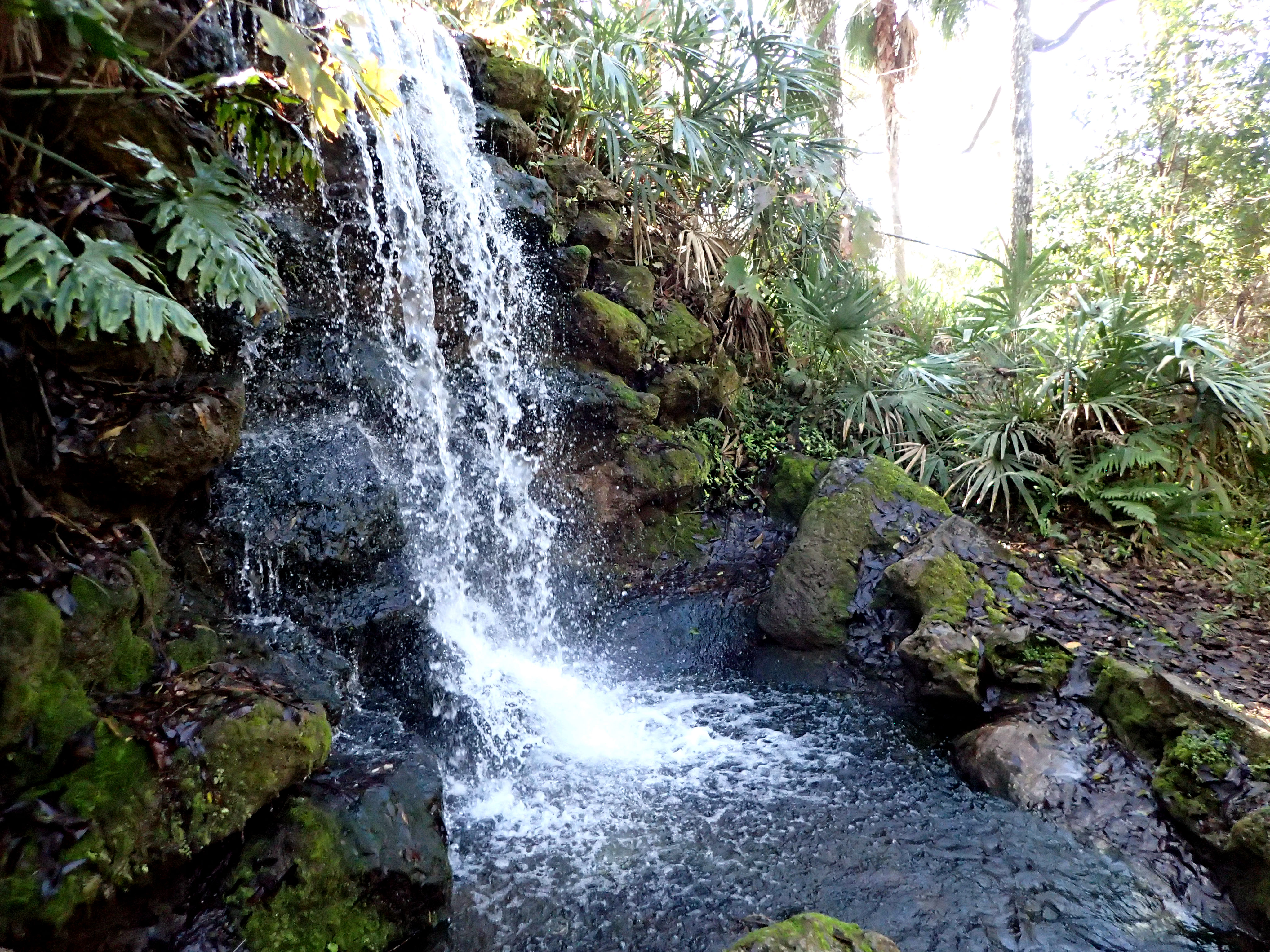 Rainbow Springs State Park and Swampy’s-Florida