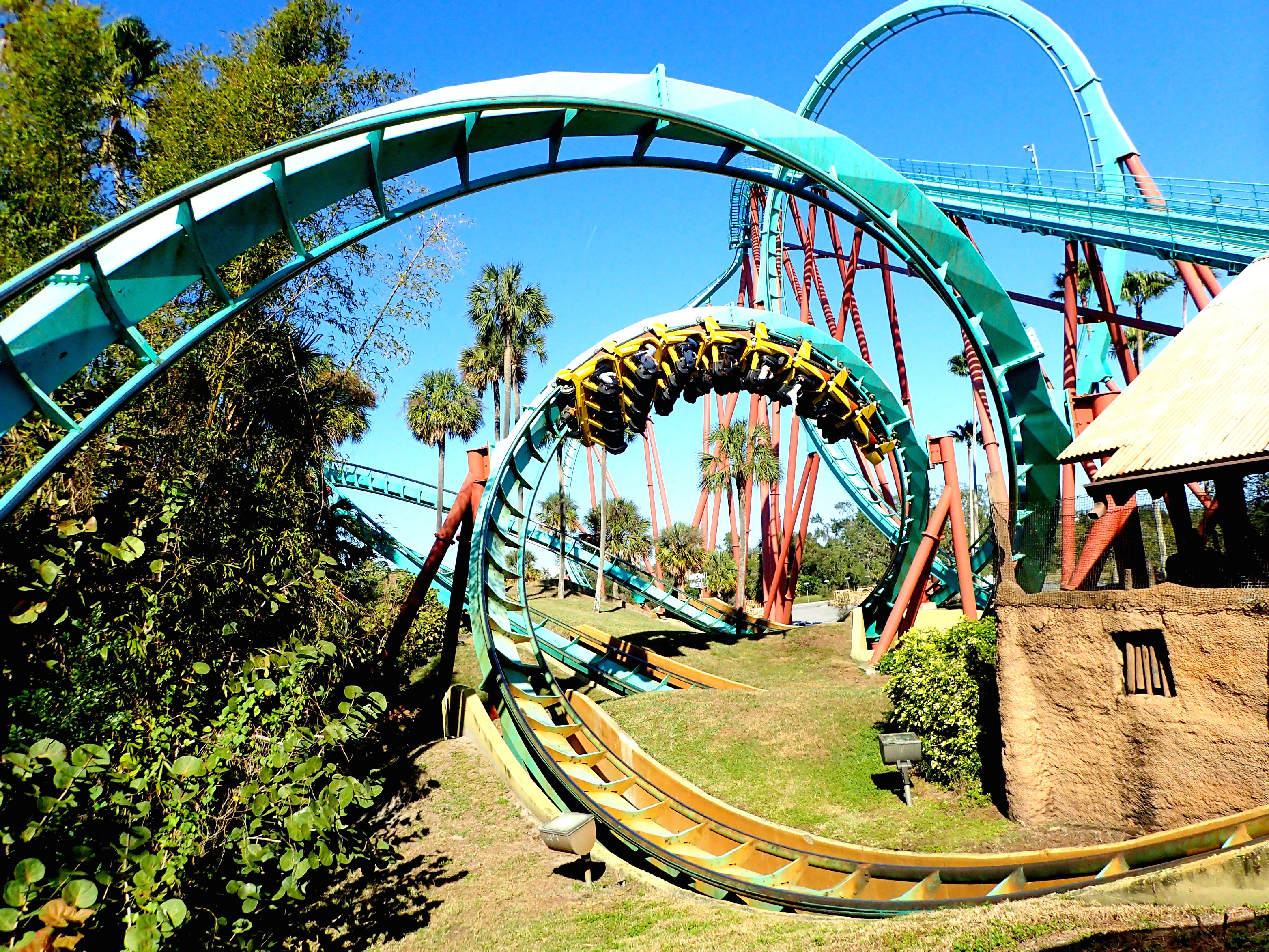 Ranked: The Roller Coasters of Busch Gardens Tampa – Including