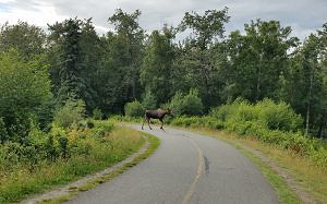 alaska-anchorage-kincaid park