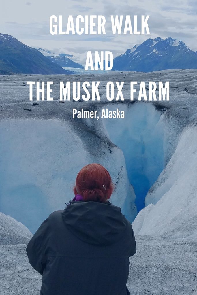 Glacier Walk and The Musk Ox Farm-Palmer-Alaska-Obligatory Traveler