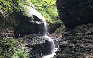 watkins glen-falls-new york