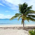bahamas-elbow cay-beach