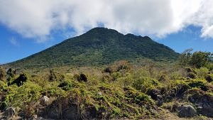 st. eustatius-quill