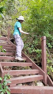 st eustatius-the quill-hiking the crater