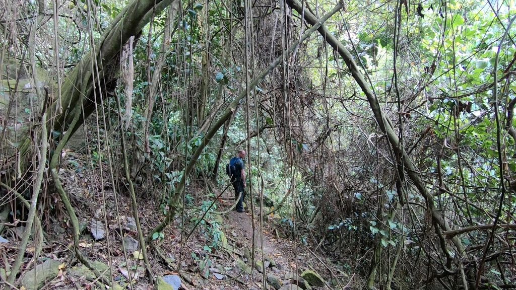 st eustatius-the quill-crater hike