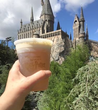 5 Favorite Things-The Wizarding World of Harry Potter