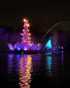 animal kingdom-night show