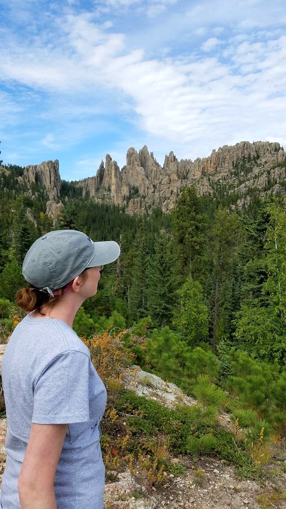 custer state park-needles highway