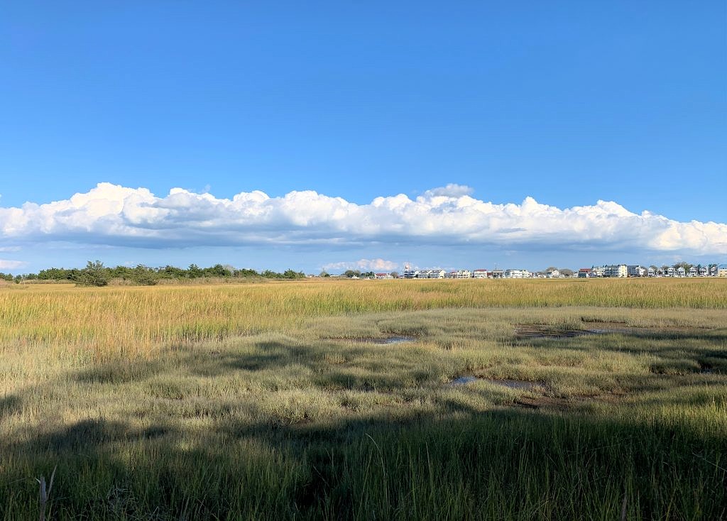 new jersey shore-nature trails-cape may