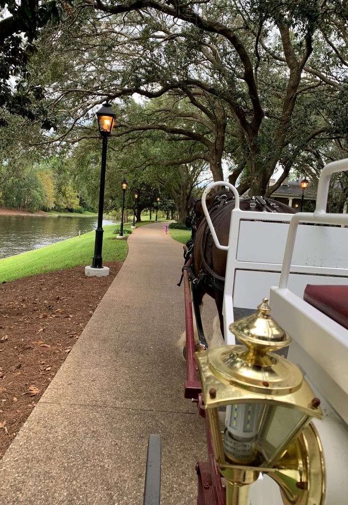 Port Orleans Riverside-Carriage Ride