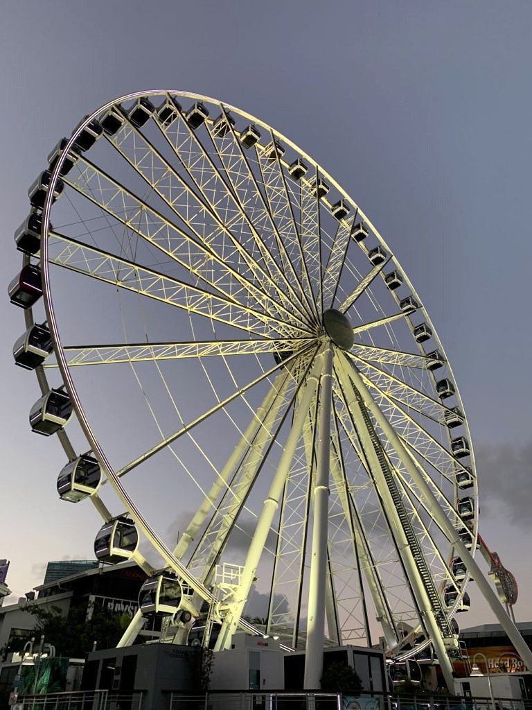 bayside marketplace-miami-giant wheel 