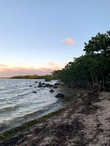 Florida Keys-State Parks-John Pennekamp State Parks-sunset