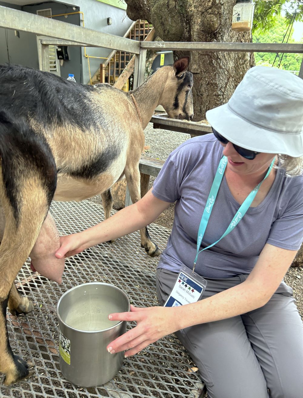 Frutos del Guacabo Farm Tour-Puerto Rico