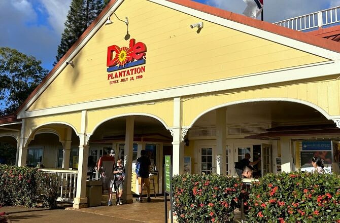 Visiting The Dole Pineapple Plantation-Hawaii