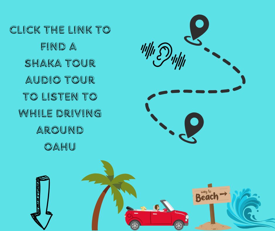 Shaka Tours-Hawaii-Oahu Tour