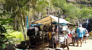 Waimea Valley-how do I swim in a waterfall-Hawaii