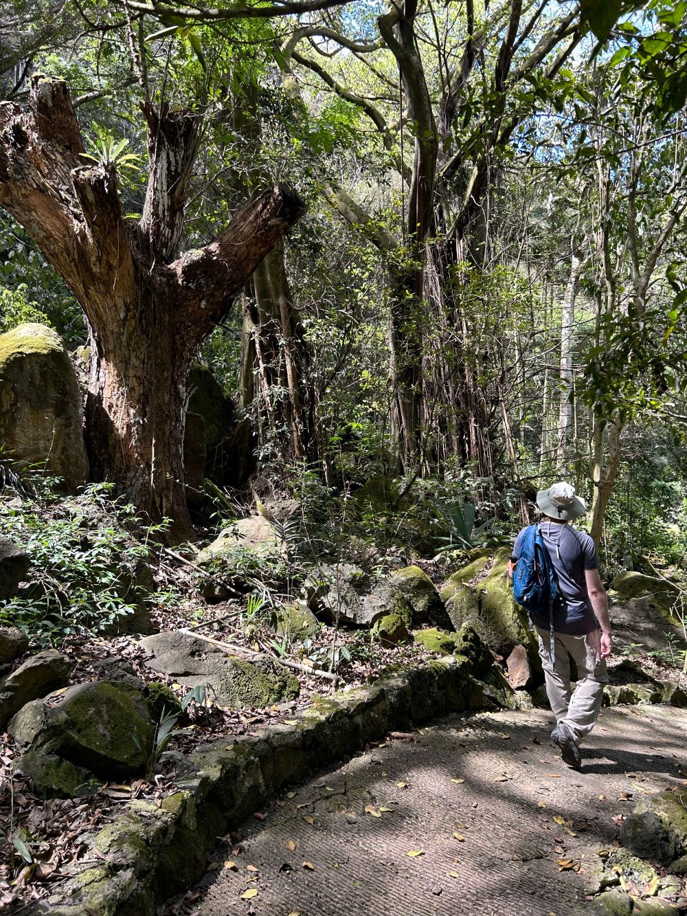Visiting Waimea Valley-Without Swimming in the Waterfall-Oahu-Hawaii