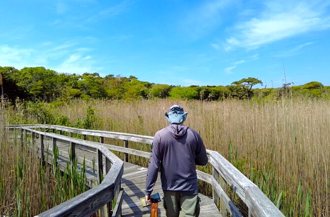 Fire Island National Seashore-Sailors Haven Day- Trip-New York