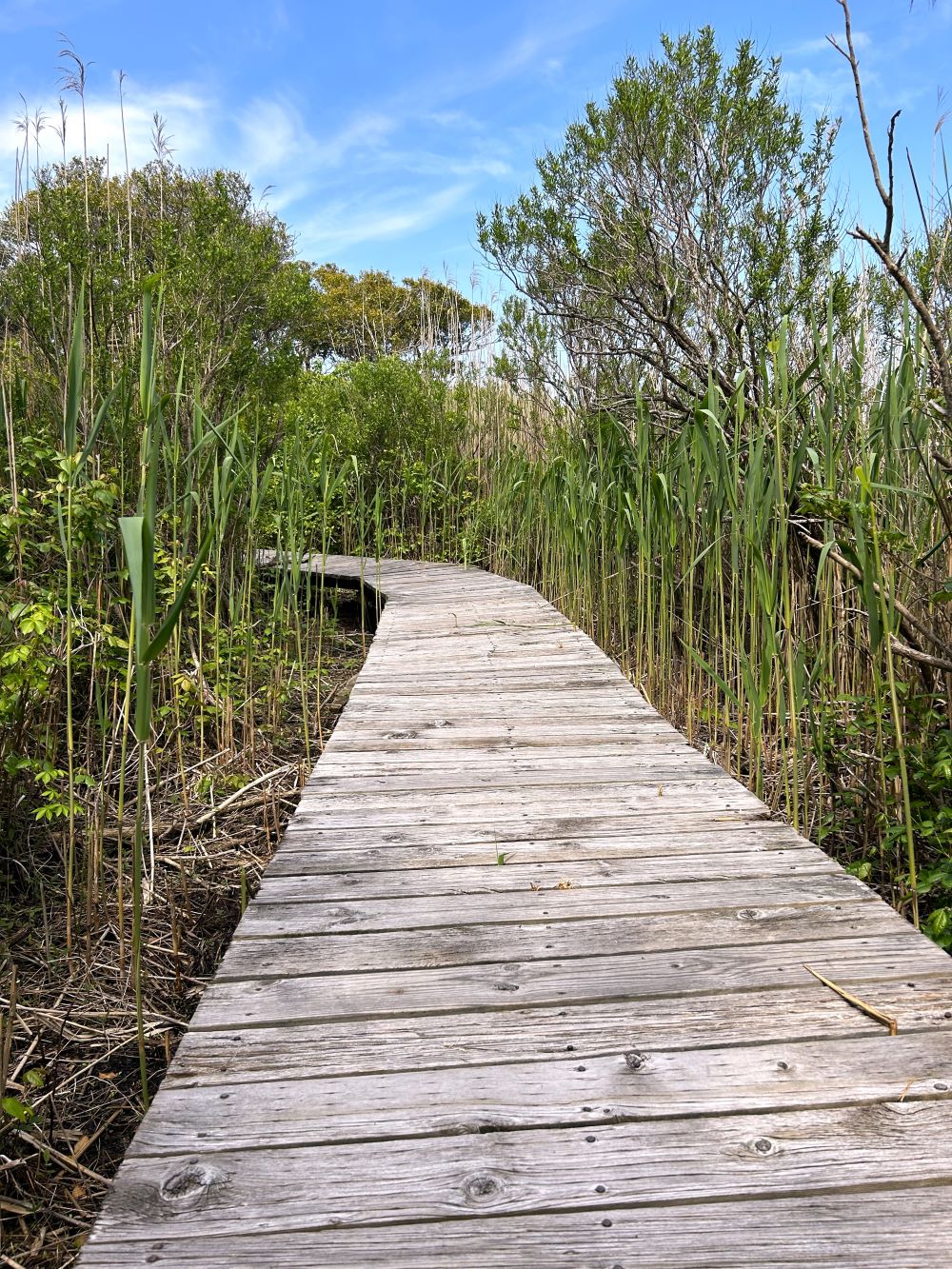 Fire Island National Seashore-Sailors Haven Day- Trip-New York