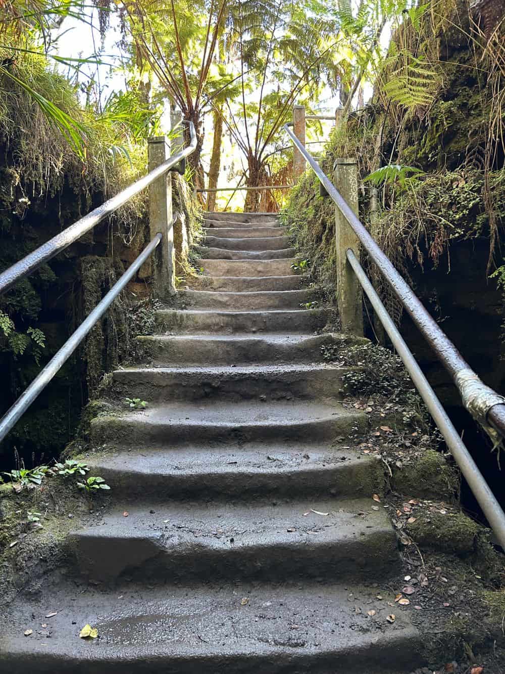 Getting to the Lava Tube in Volcanoes National Park-Hawaii - Obligatory