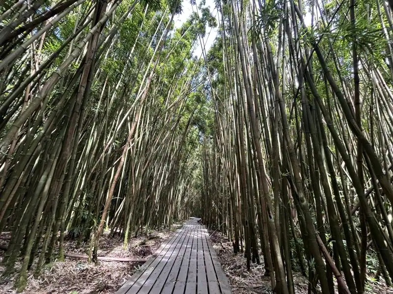 Visiting The Hana Side of Haleakala National Park-Maui-Hawaii