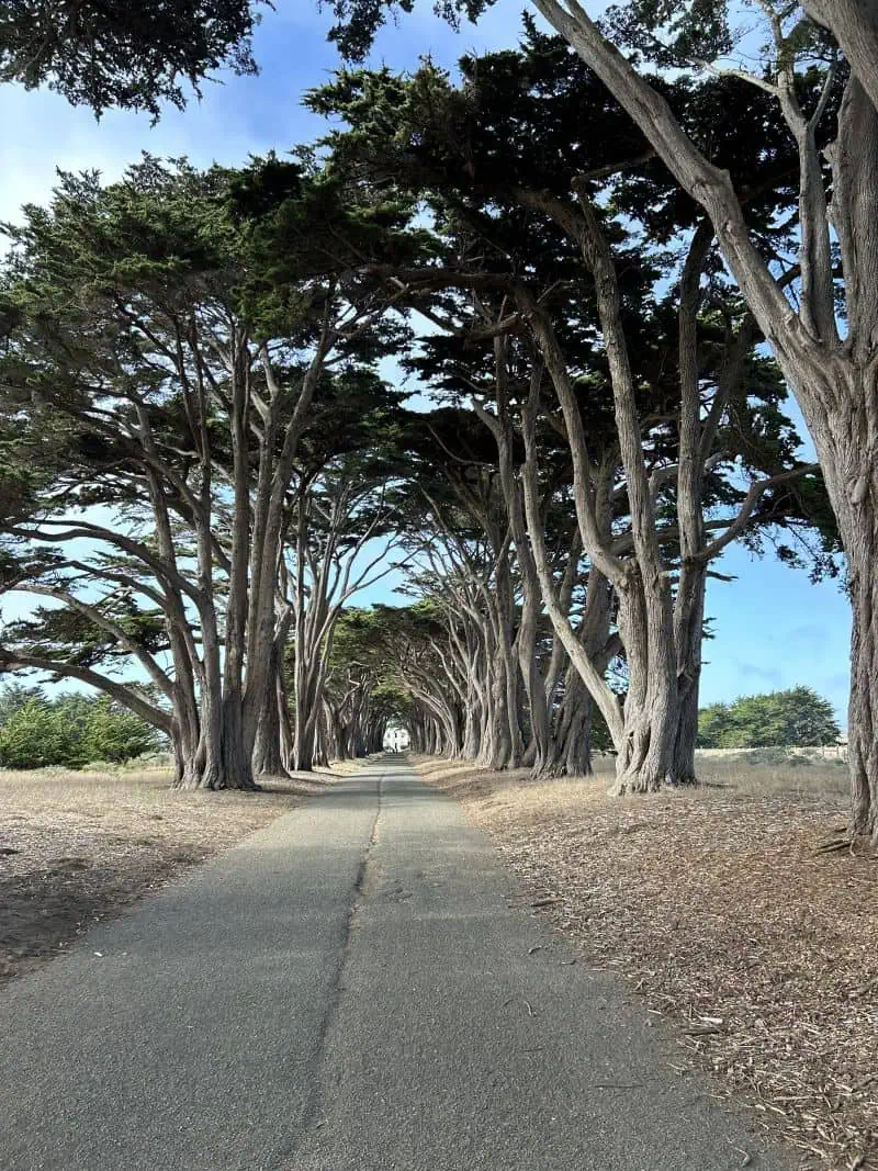 Spots to Visit At Point Reyes National Seashore-California